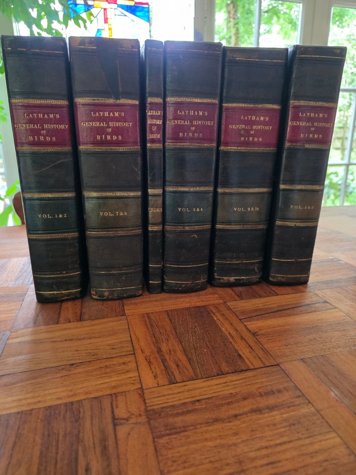 J.Latham - general history of birds - 1821-28, Verzenden, John Latham