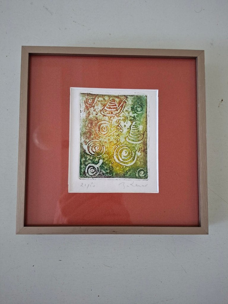 kleurrijk etsje kunstwerkje ingelijst genummerd gesigneerd, 2000 tot heden, Ingelijst, Ets, Ophalen of Verzenden