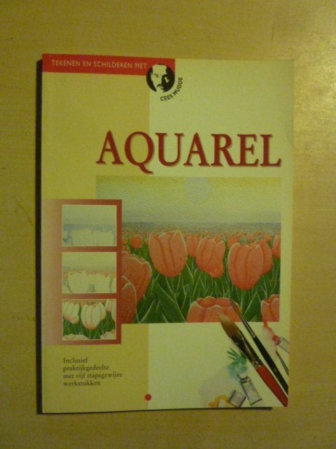 Cees Mudde - Aquarel, Boeken, Hobby en Vrije tijd, Zo goed als nieuw, Overige onderwerpen, Verzenden