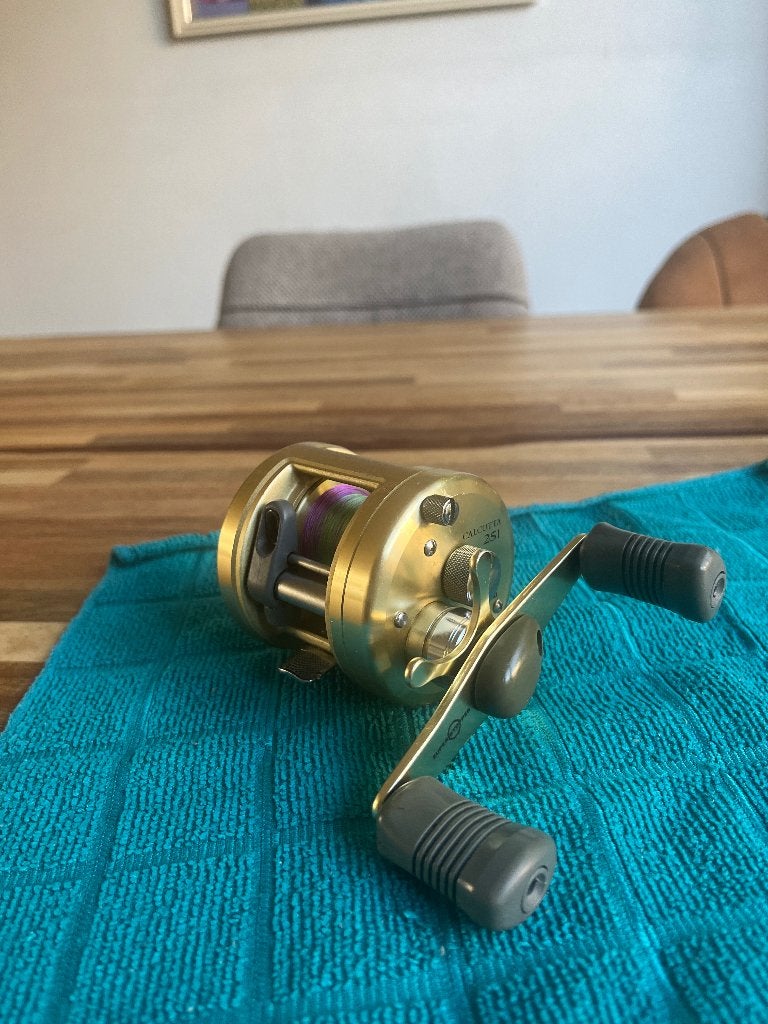 TK; Shimano Calcutta 251, Ophalen of Verzenden, Molen