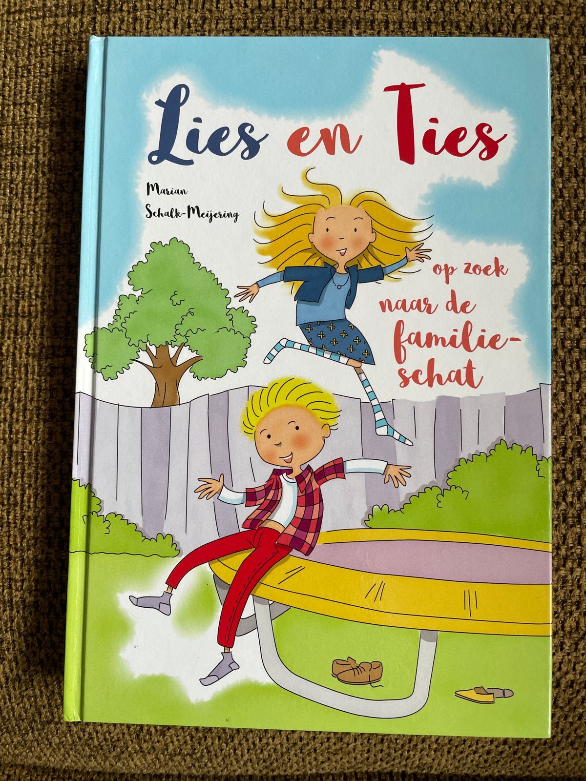 Marian Schalk-Meijering - Lies en Ties, Boeken, Fictie algemeen, Ophalen of Verzenden, Zo goed als nieuw, Marian Schalk-Meijering
