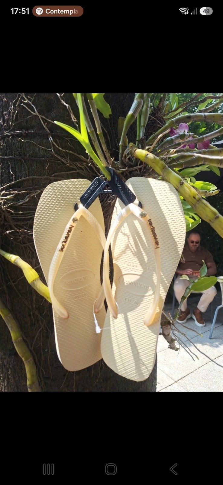 Havaianas 2026 model, Slippers, Geel, Nieuw, Ophalen of Verzenden