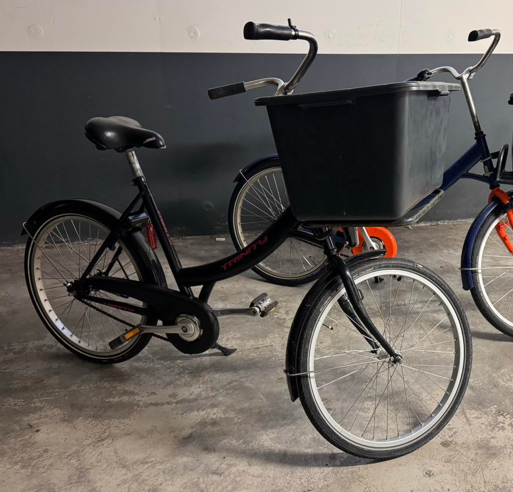 Azor Workcycles Transportfiets Hondenfiets Bakfiets, Ophalen, Overige merken