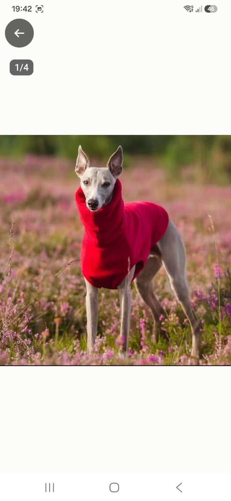 Te Koop, Dikke fleece windhonden bodys in verschillende mate, Dieren en Toebehoren, Ophalen of Verzenden, Zo goed als nieuw, Hondentrui