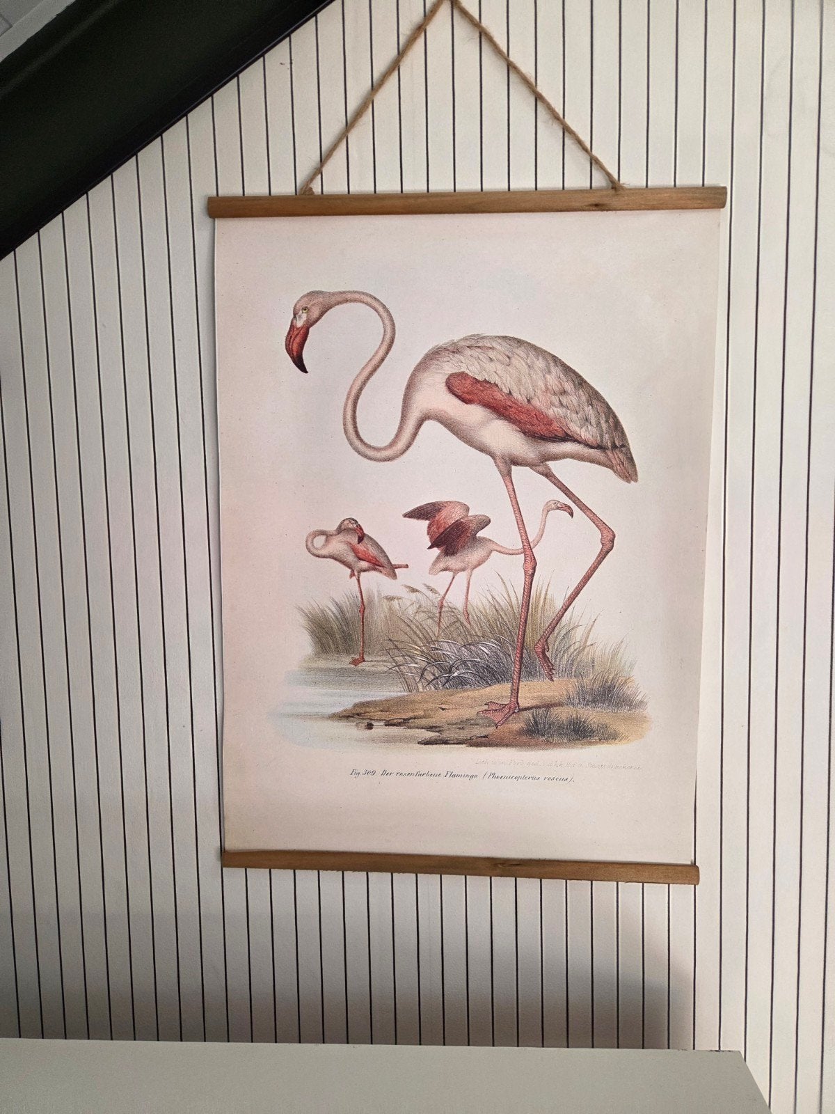 Vintage Flamingo Poster - Decoratieve Wandkunst, 50 – 75, Ophalen of Verzenden, Zo goed als nieuw, Foto of Poster