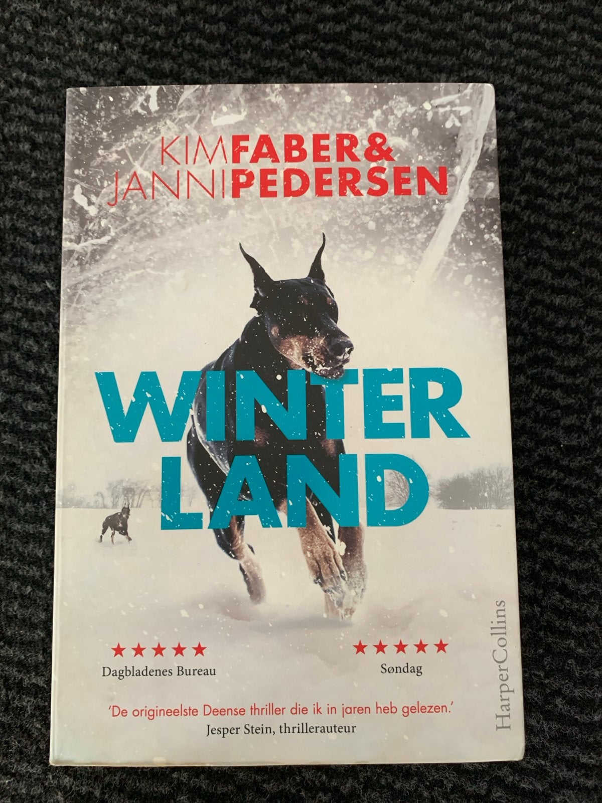 Winterland - Kim Faber & Janni Pedersen (Thriller), Ophalen of Verzenden, Zo goed als nieuw, Scandinavië