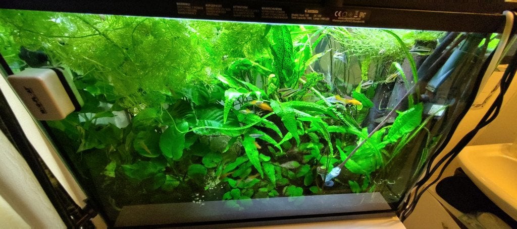 Aquarium SuperFish Start 100 inclusief inhoud en techniek., Dieren en Toebehoren, Vissen | Aquaria en Toebehoren, Ophalen, Gebruikt