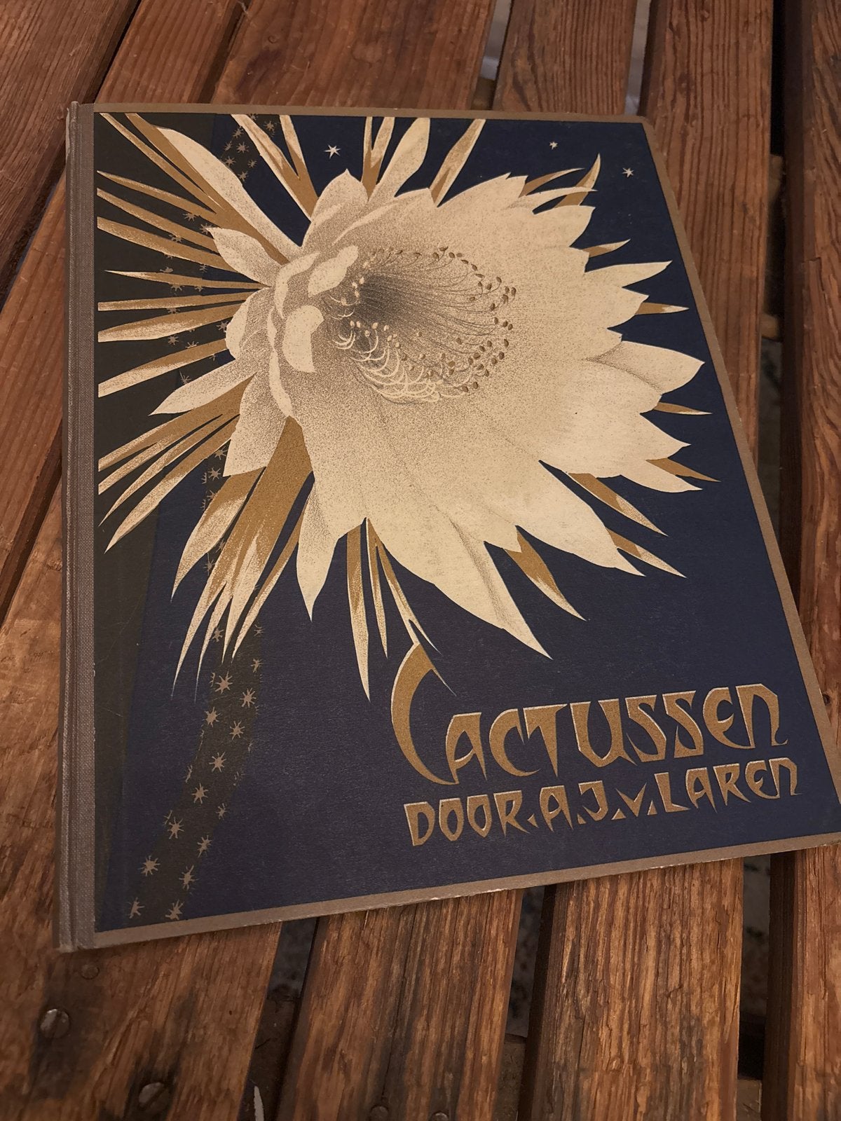 Cactussen door A.J.M. Laren - Zeldzaam boek, Verzenden, Gelezen, Bloemen, Planten en Bomen