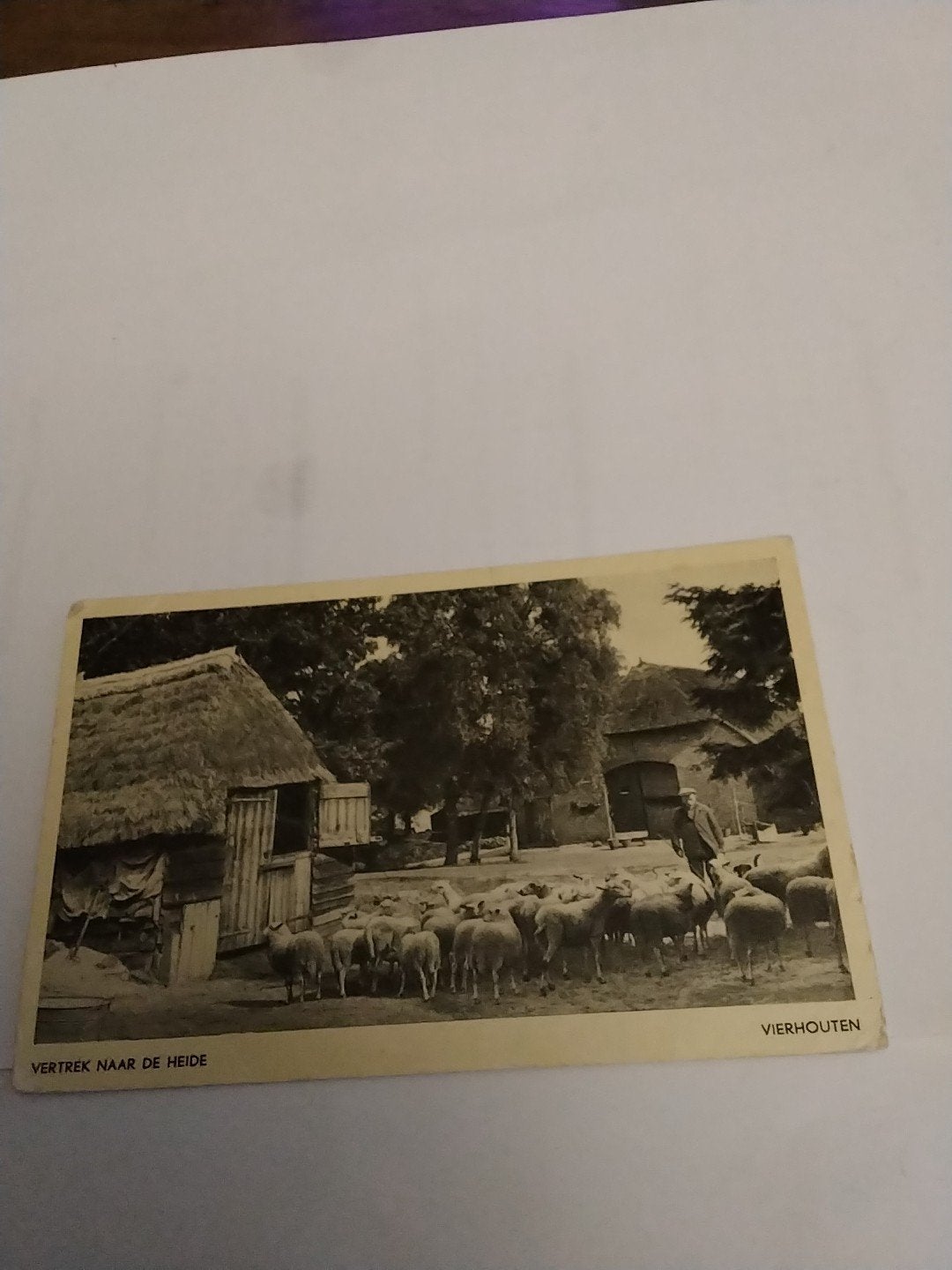 Oude ansichtkaart: Vertrek naar de Heide, Vierhouten, Ophalen of Verzenden, 1940 tot 1960, Gelderland