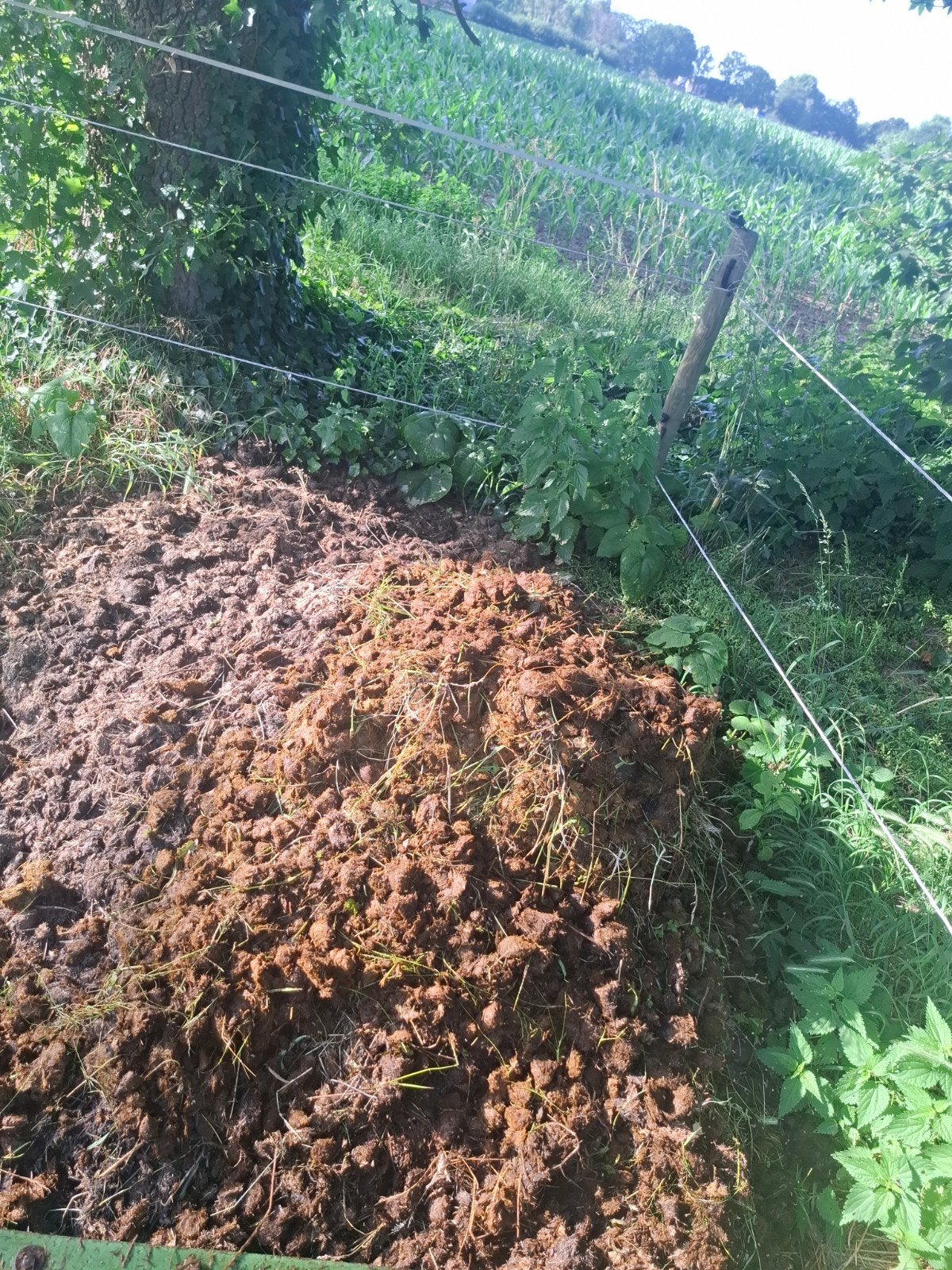 Gratis paardenmest, Ophalen, Tuinaarde