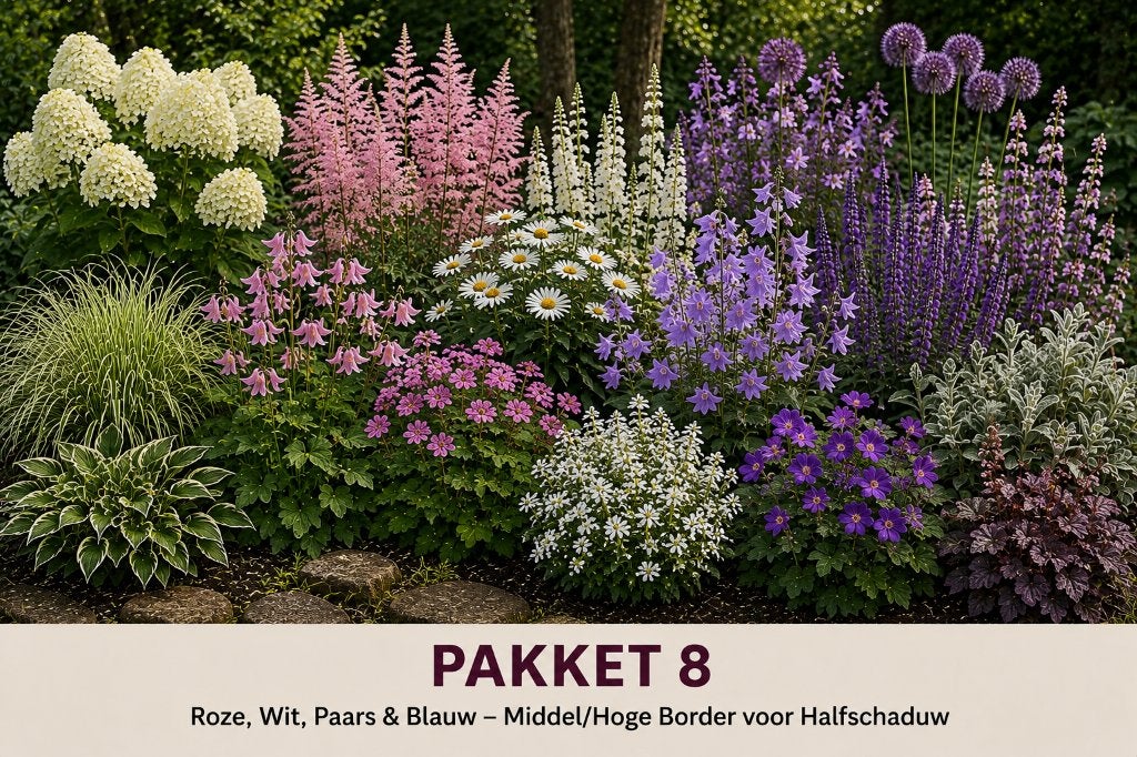 Complete plantenpakketten – 100 planten per pakket, Ophalen of Verzenden, Vaste plant, Overige soorten, Volle zon
