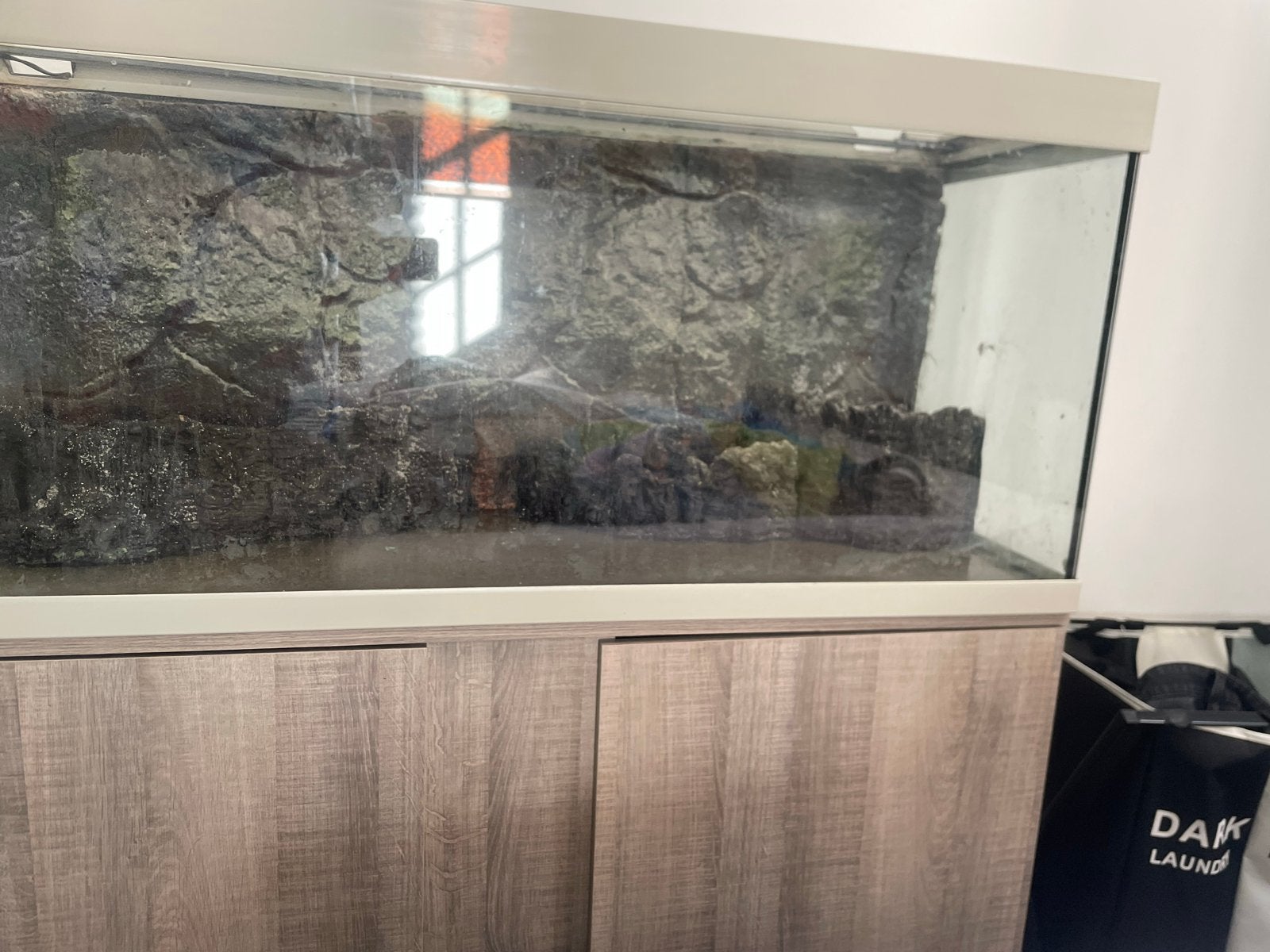 Eheim vivaline 240 led, Dieren en Toebehoren, Gebruikt, Pomp, Ophalen of Verzenden, Leeg aquarium