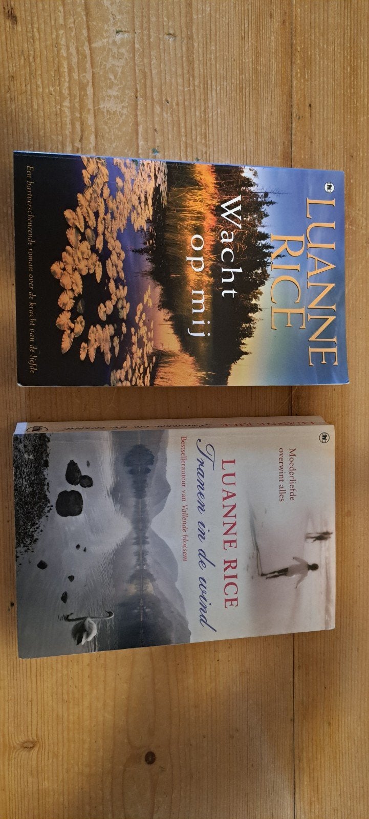 Luanne Rice boeken: Tranen in de wind & Wacht op mij, Ophalen of Verzenden, Gelezen, Luanne Rice, Amerika