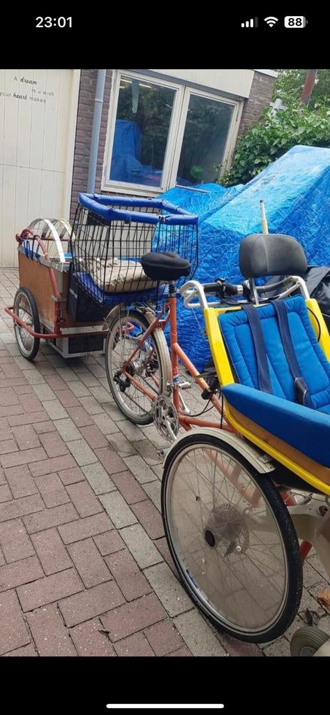 Van raam elektrische fiets, Ophalen of Verzenden, Gebruikt