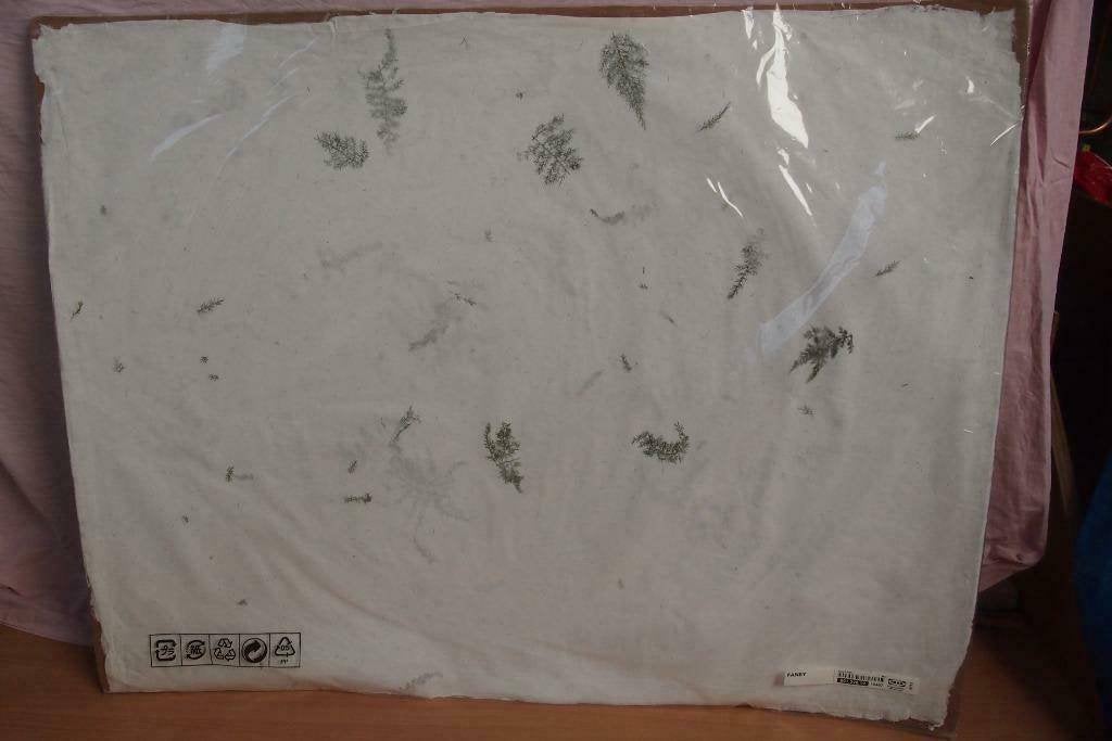 IKEA Fanby leuke vellen van rijstpapier met blaadjes - nieuw, Ophalen, 50 – 75, Nieuw, Schilderij