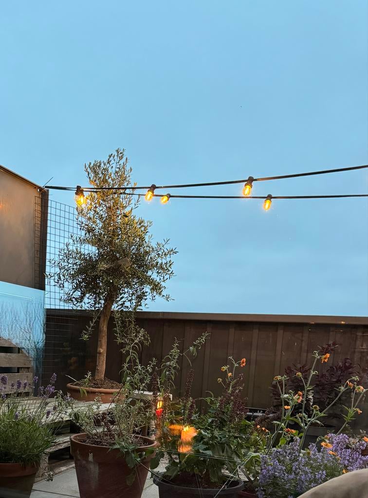 Prikkabel set met 1W LED filament lampen - 15m, 20 lampjes, Tuin en Terras, Buitenverlichting, Kunststof, Minder dan 50 watt, Overige typen