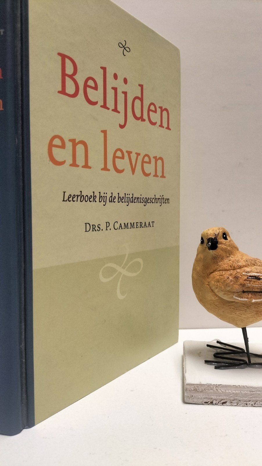 Cammeraat, Drs. P.; Belijden en leven, Ophalen of Verzenden, Gelezen, Christendom | Protestants