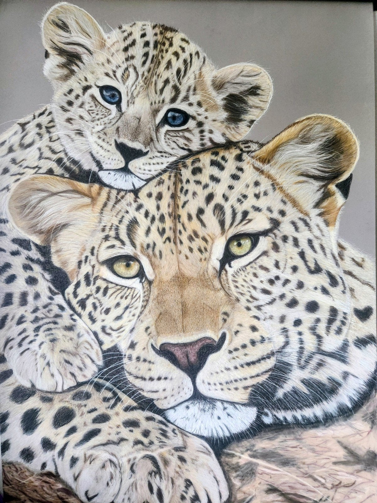 Grote pasteltekening luipaard met jong 70 x100cm, Ophalen, Pasteltekening