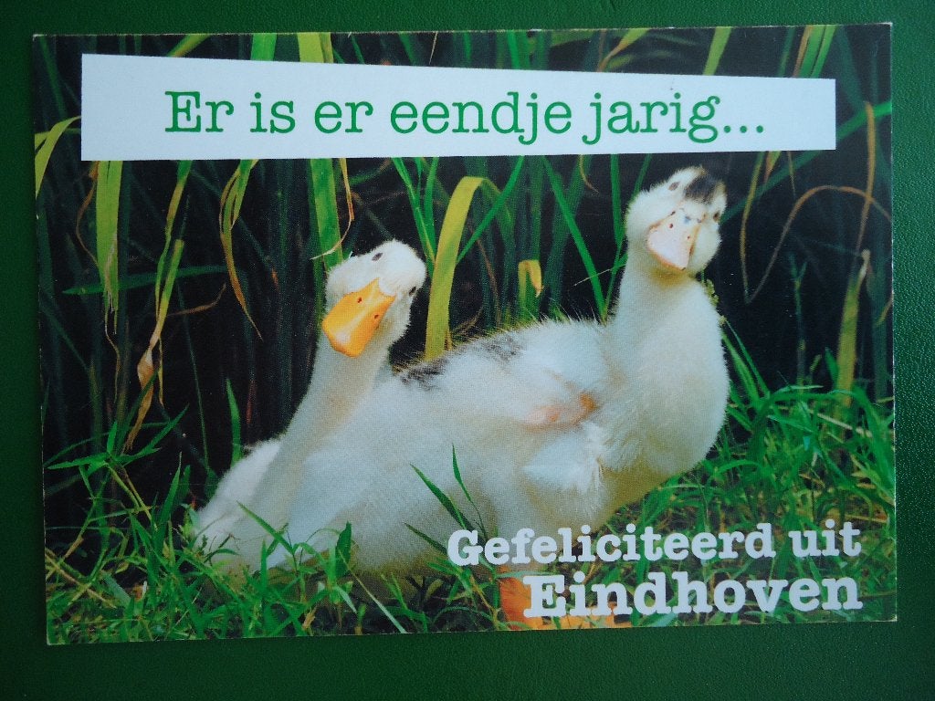 (2095) Dierenkaart: EENDEN, Verzenden, 1980 tot heden, Gelopen, Vogel