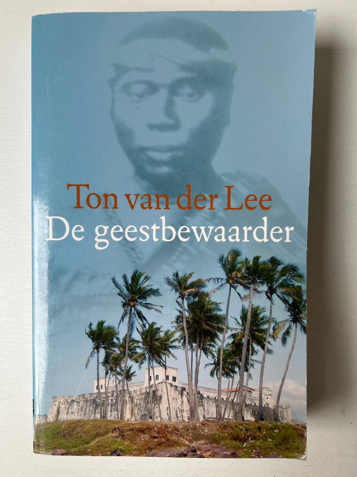 Ton van der Lee - De geestbewaarder, Ophalen of Verzenden, Zo goed als nieuw, Ton van der Lee