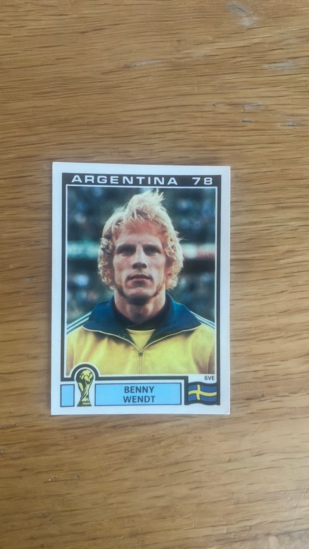 Panini Argentina ‘78, Ophalen of Verzenden, Zo goed als nieuw, Buitenlandse clubs, Poster, Plaatje of Sticker