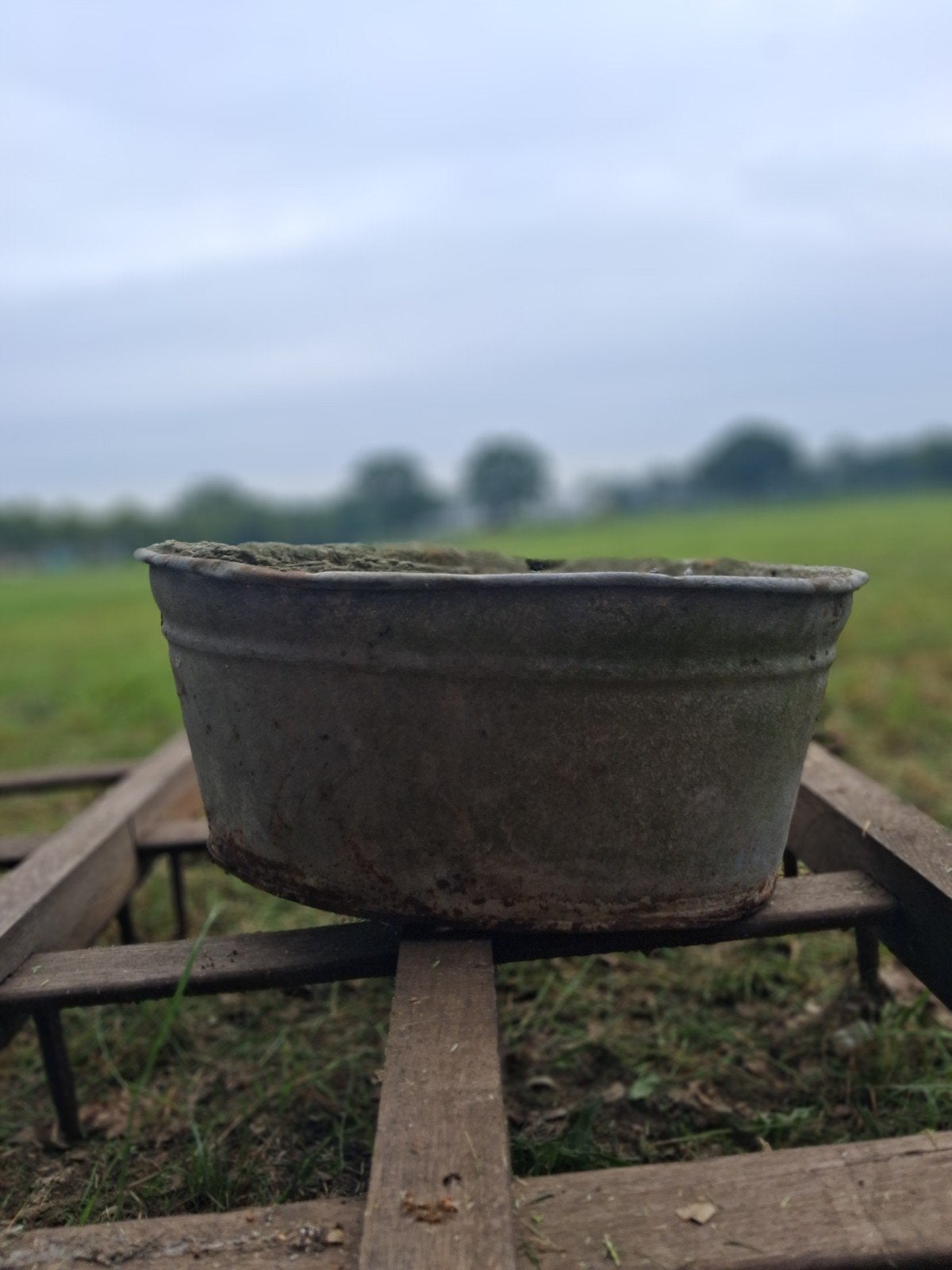 Zinken teil met betonnen binnenkant, Antiek en Kunst, Ophalen