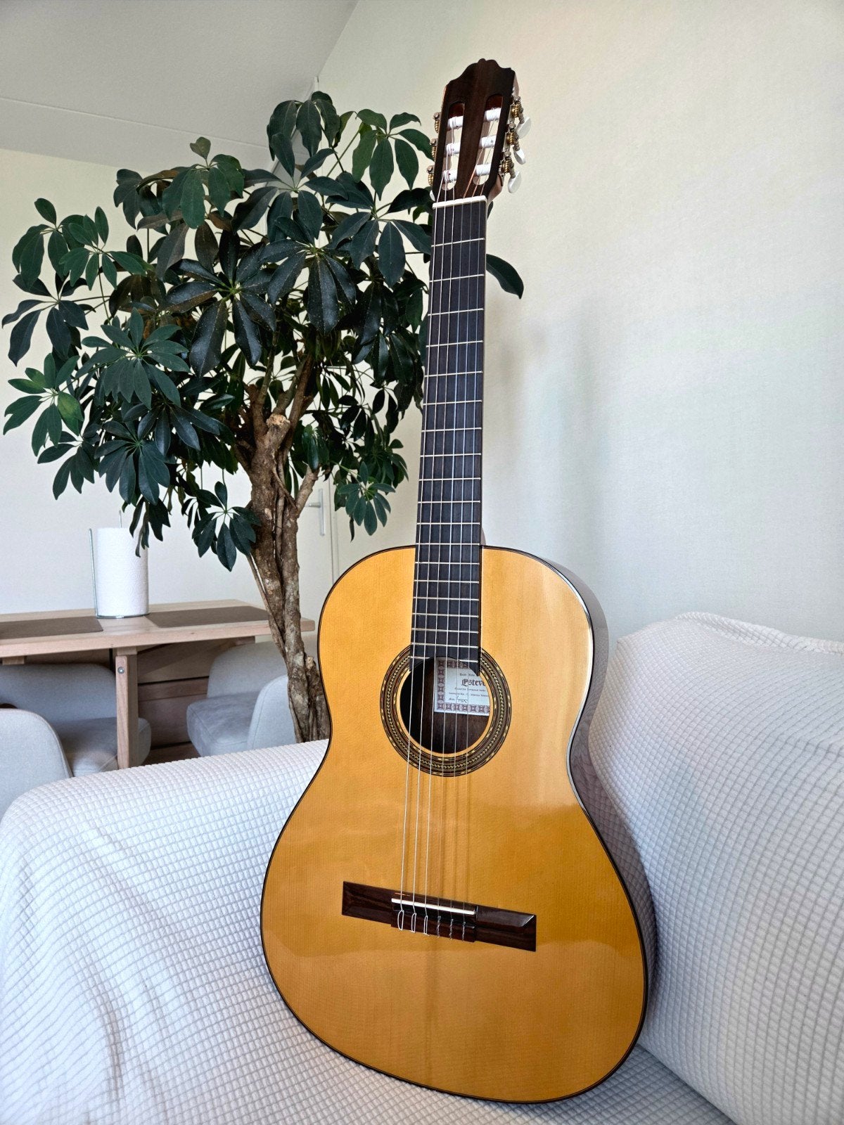 Esteve 4STE klassieke gitaar met hoes, Muziek en Instrumenten, Ophalen, Zo goed als nieuw, Klassieke of Spaanse gitaar, Met koffer