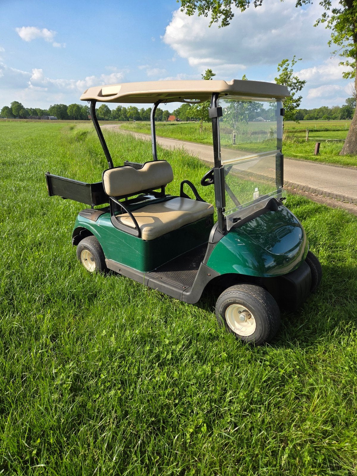 Golfcar EZGO 2014 clubcar electrische auto, Sport en Fitness, Golf, Ophalen, Zo goed als nieuw, Golfkar