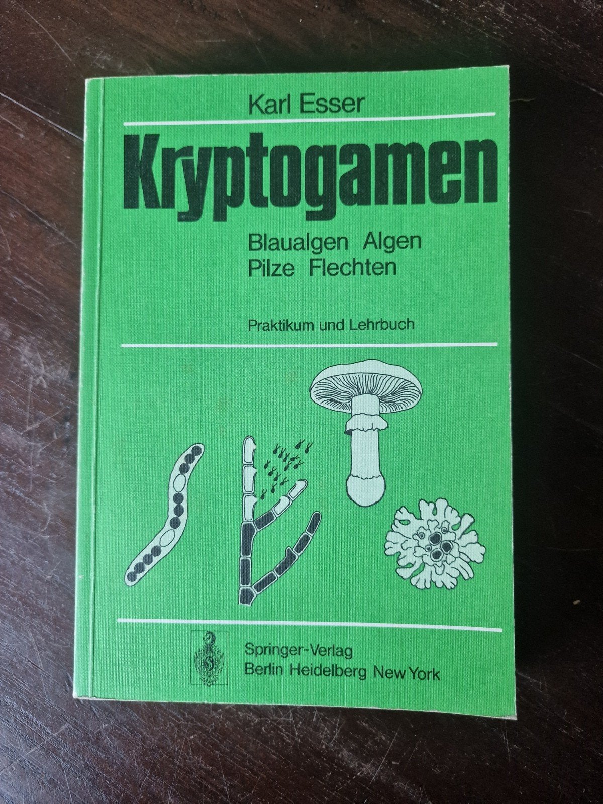 Kryptogamen: Blaualgen, Algen, Pilze, Flechten - Karl Esser, Boeken, Ophalen of Verzenden