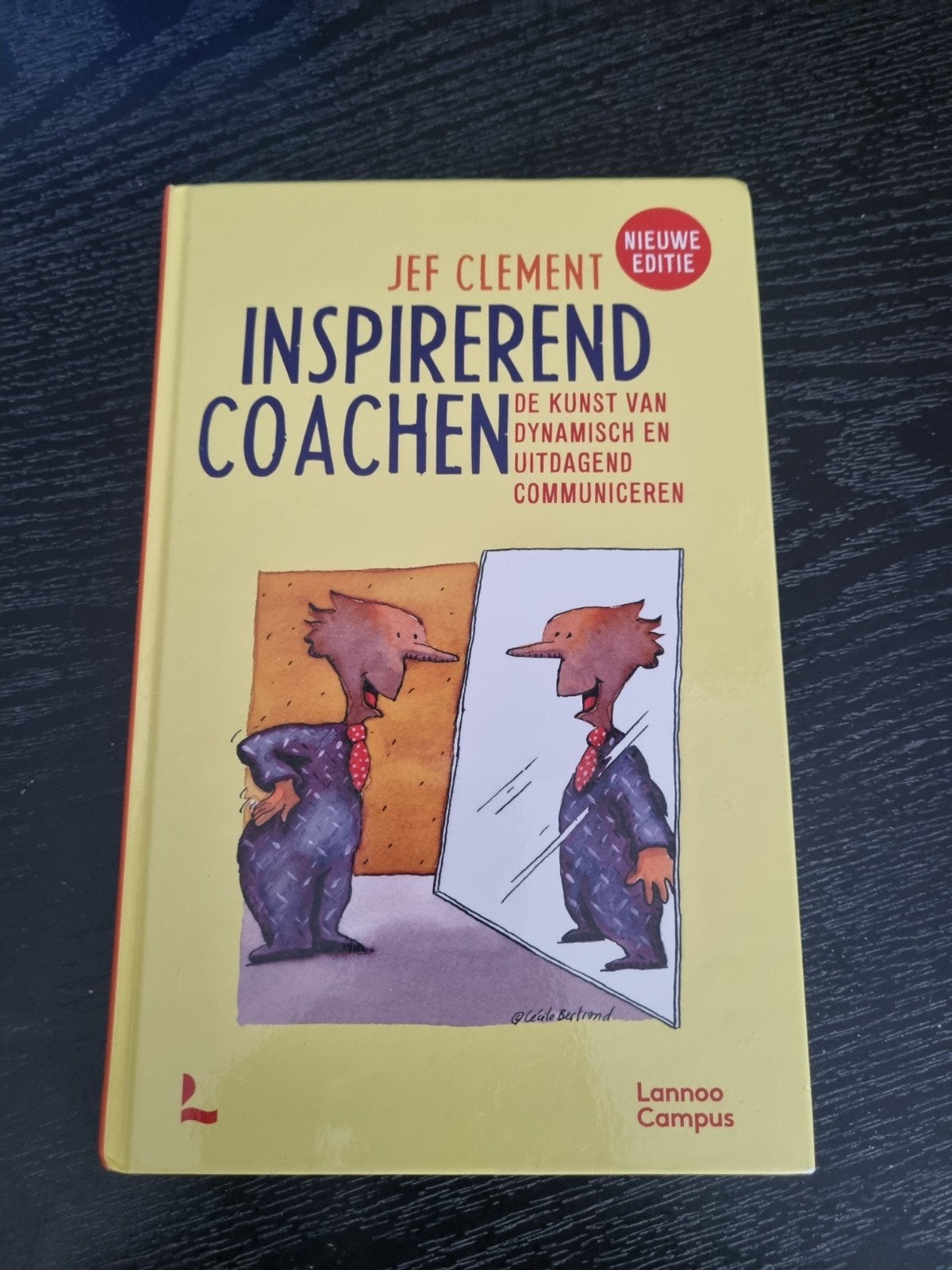 Inspirerend Coachen, Ophalen of Verzenden