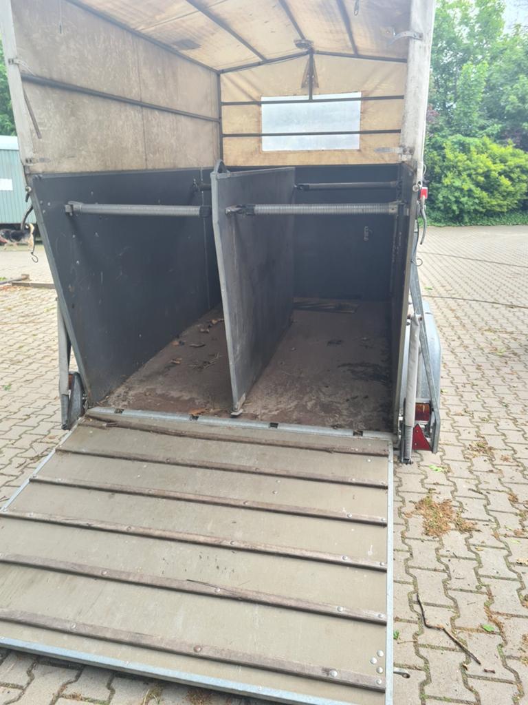 Trailers paarden en pony's aanhangwagens, Ophalen of Verzenden
