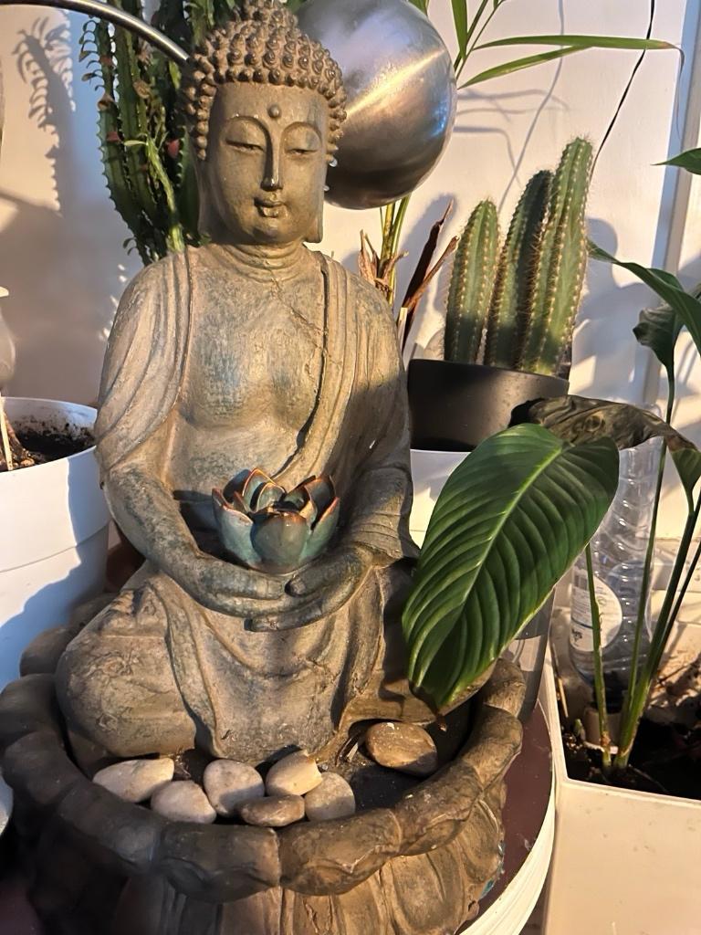 Lotus Buddha fontein groot  50x30, Ophalen, Gebruikt