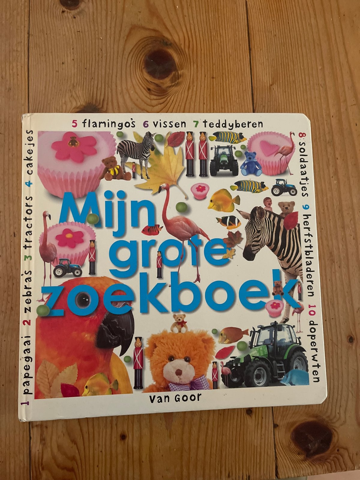 Mijn Grote Zoekboek - Van Goor (Zoekboek voor kinderen), Boeken, Ophalen of Verzenden, Zo goed als nieuw, Uitklap-, Voel- of Ontdekboek