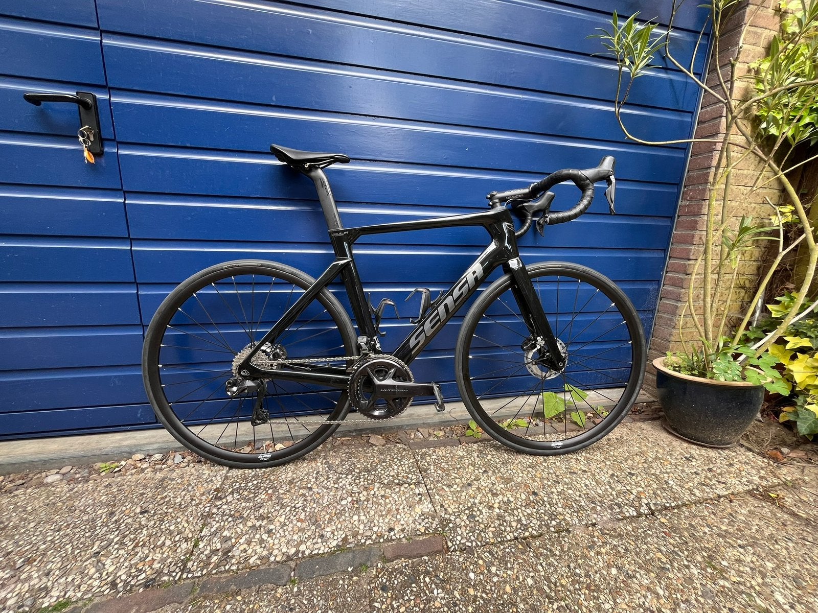 Sensa Guilia Supremo, maat 55, ultegra DI2, Fietsen en Brommers, Fietsen | Racefietsen, Carbon, Zo goed als nieuw, Meer dan 20 versnellingen