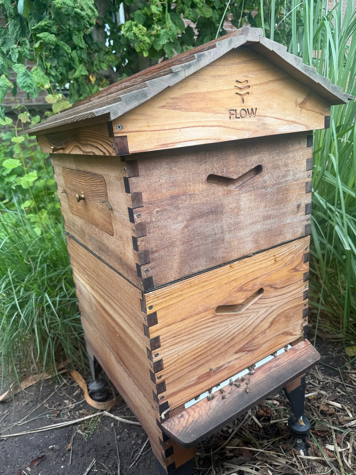 Flow hive 2, Bijen