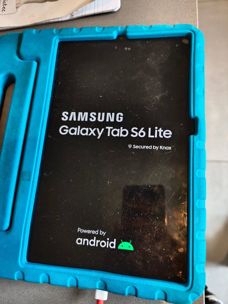 Samsung Galaxy S6 Lite + Screenprotector + Blauwe Kinderhoes, Computers en Software, Android Tablets, 10 inch, Zo goed als nieuw