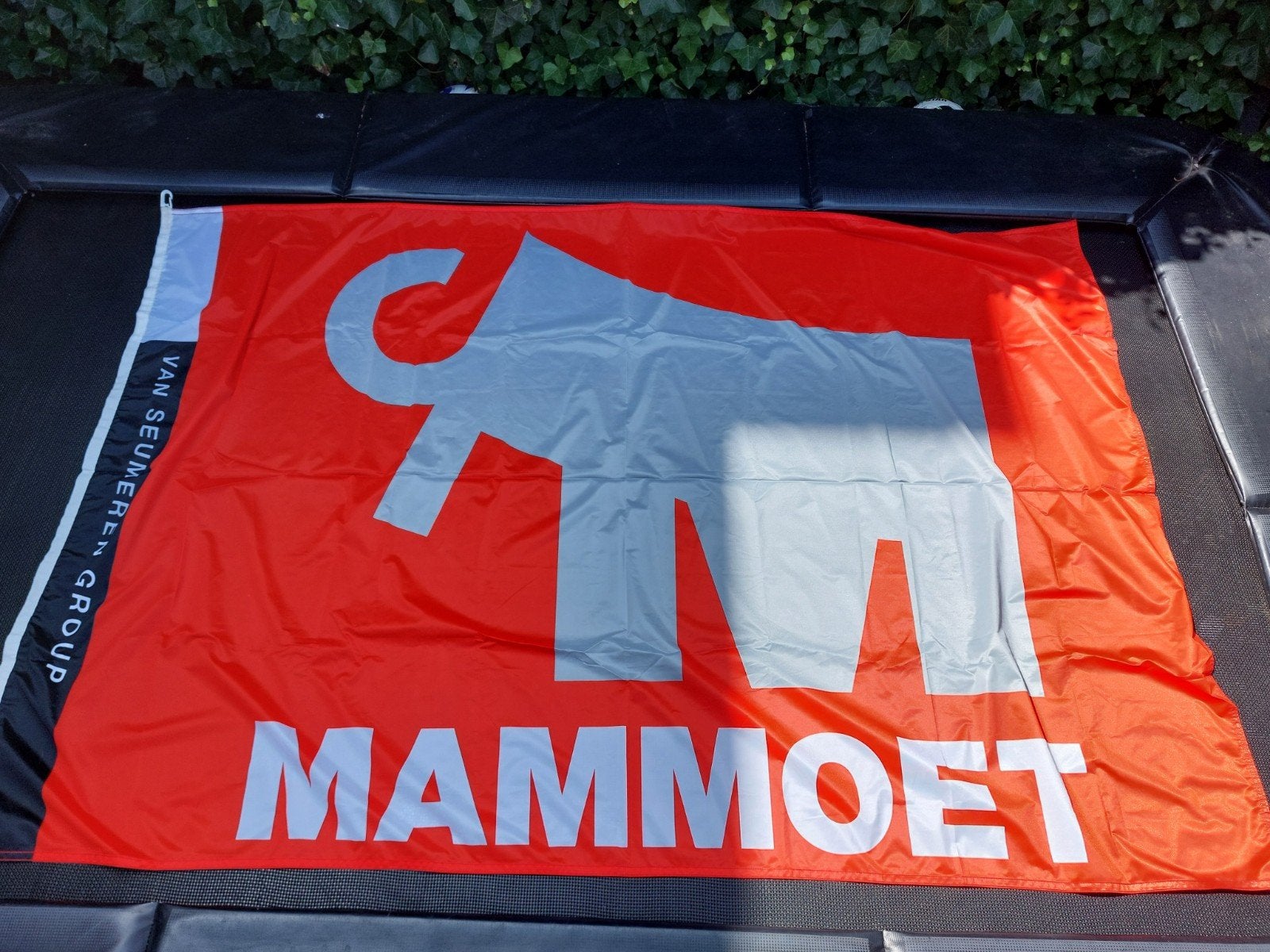Mammoet vlag (van Seumeren editie), Ophalen, Zo goed als nieuw