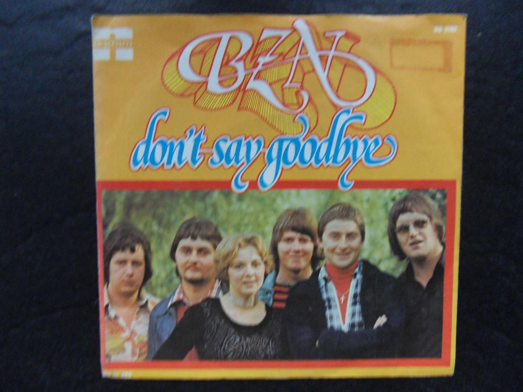 BZN > Don't say goodbye, Ophalen of Verzenden, Gebruikt, Pop