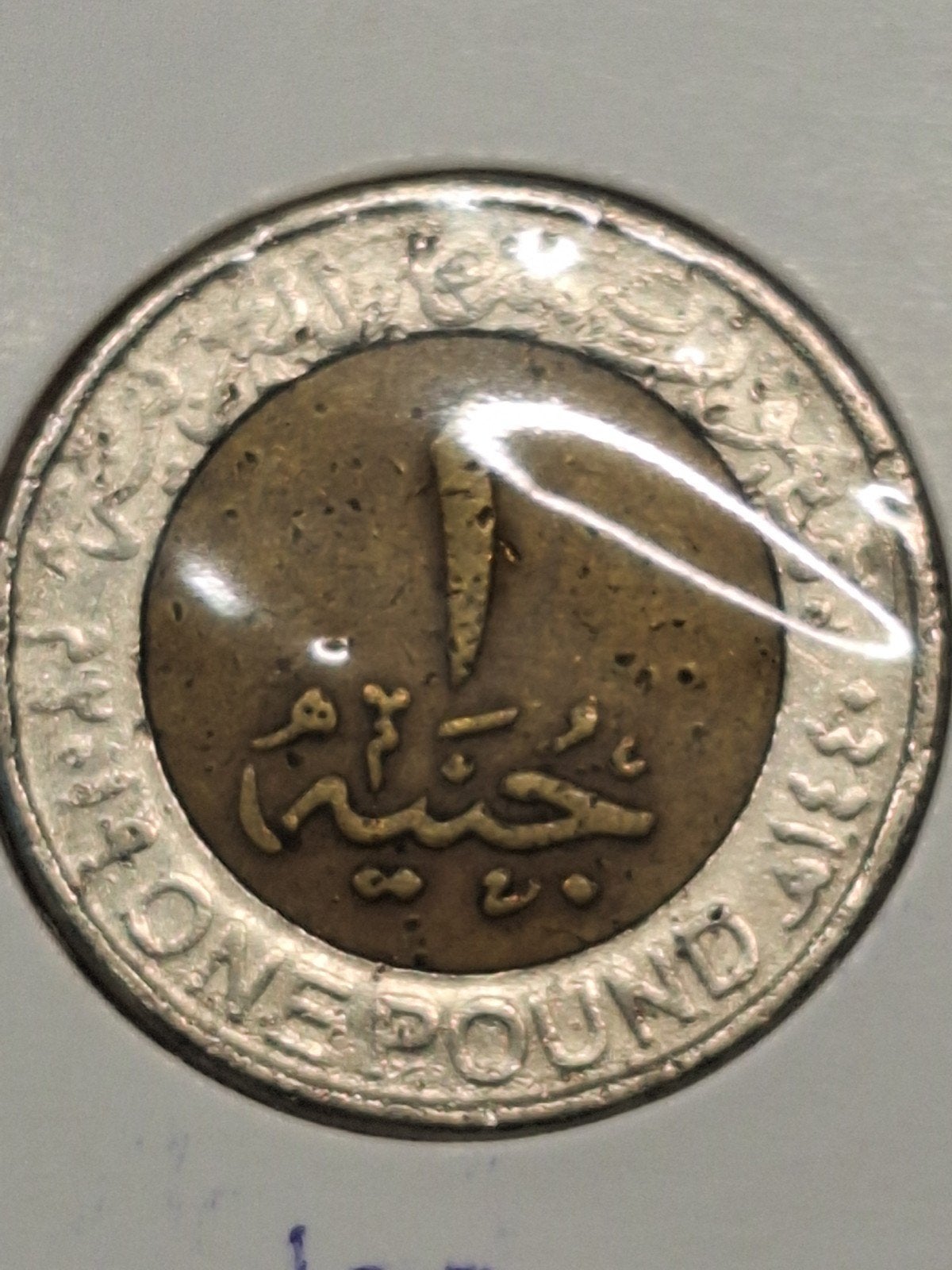 Egypte pond 2019, Ophalen of Verzenden, Egypte