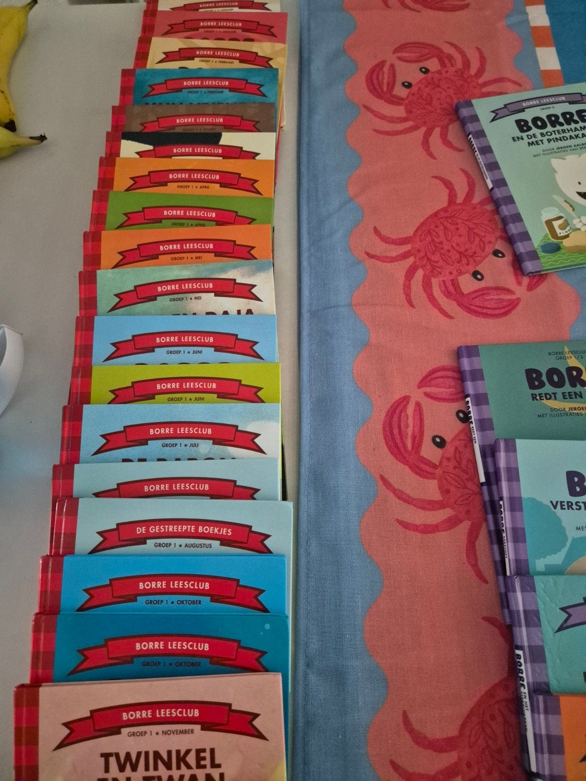 Borre Leesclub Boeken - Grote Collectie, Boeken, Kinderboeken | Jeugd | onder 10 jaar, Ophalen, Gelezen, Diverse auteurs (o.a. Jeroen Aalbers, Ellen Jansen)
