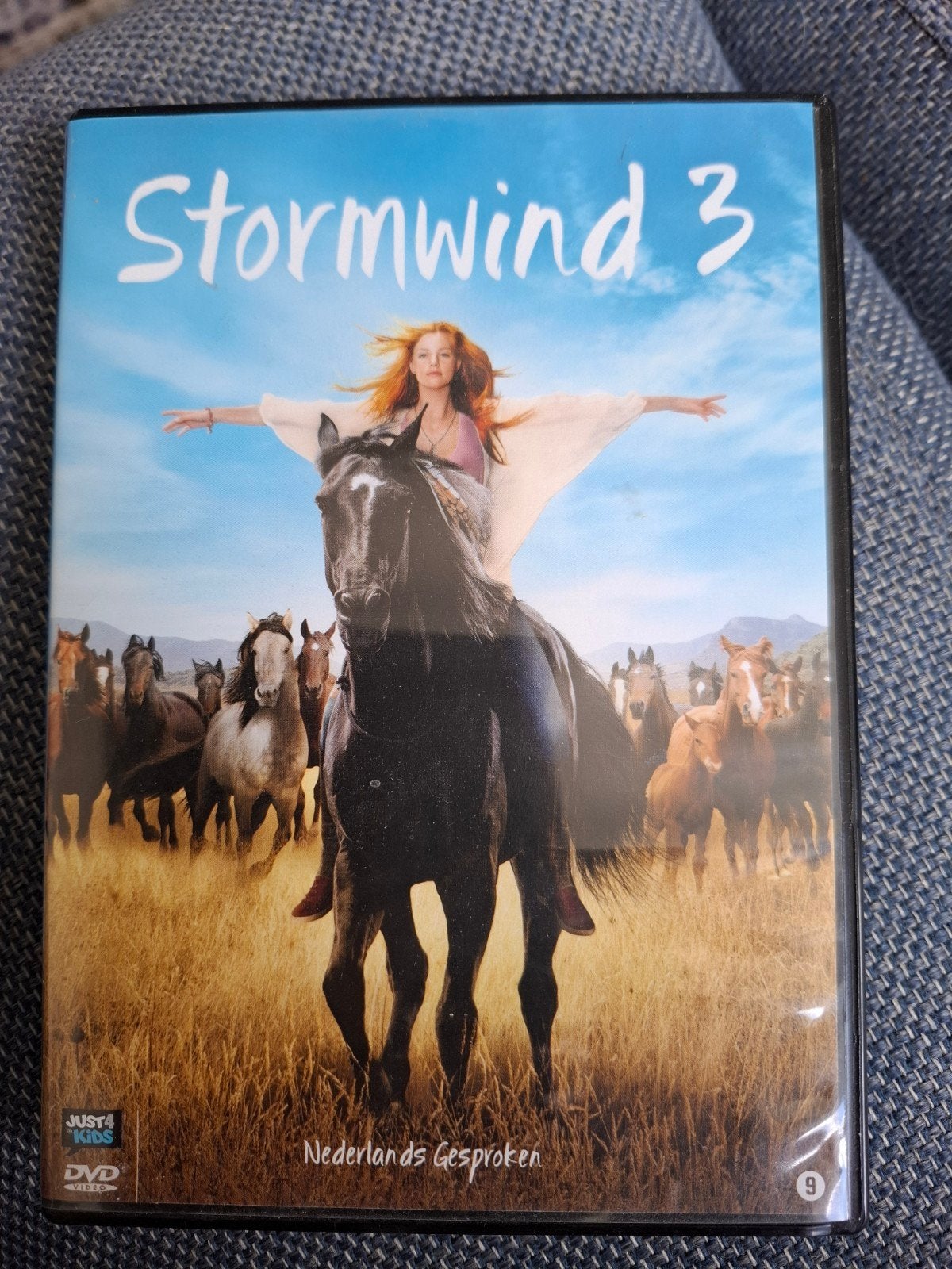 Stormwind 3 DVD - Nederlands Gesproken, Avontuur, Gebruikt, Vanaf 9 jaar, Film