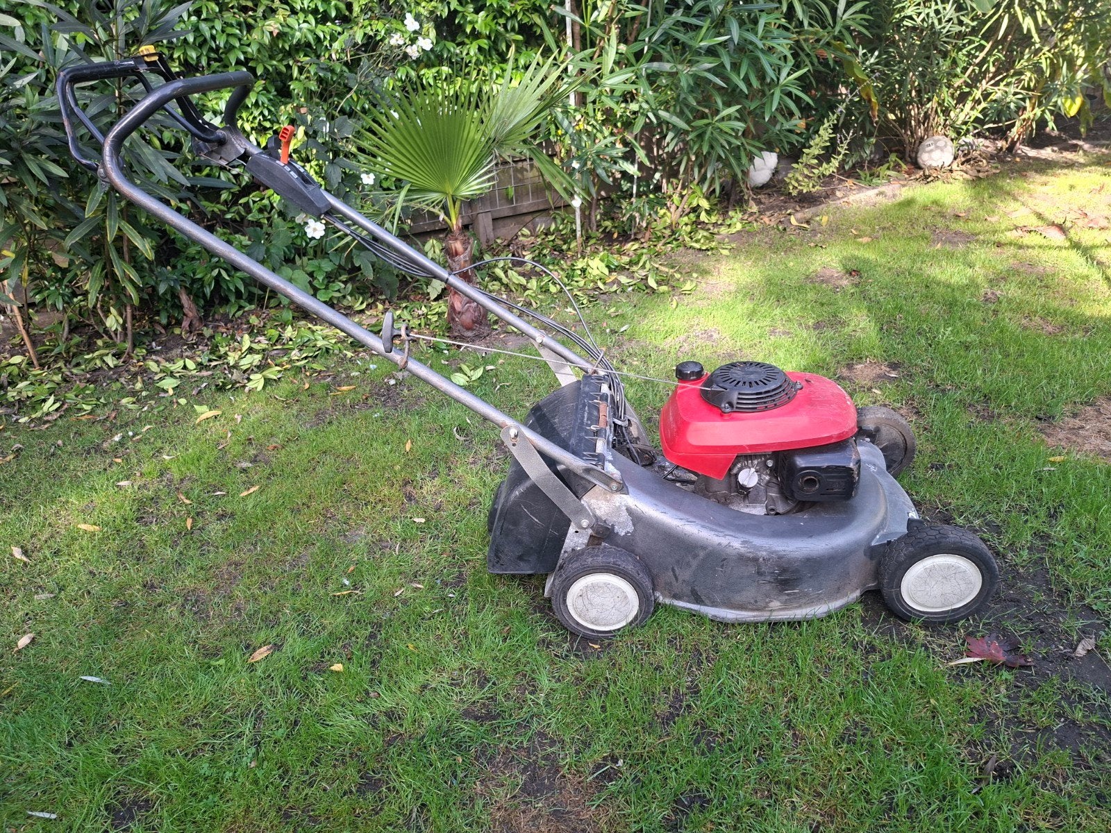 Honda grasmaaier, Ophalen, Cirkelmaaier, Gebruikt, HONDA