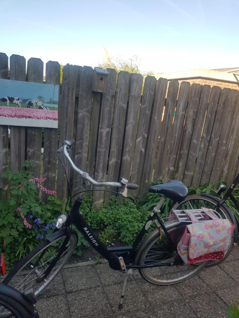 Raleigh aluminium damesfiets met mooie banden. 53 cm frame, Ophalen of Verzenden, Gebruikt, 4 kinderen of meer