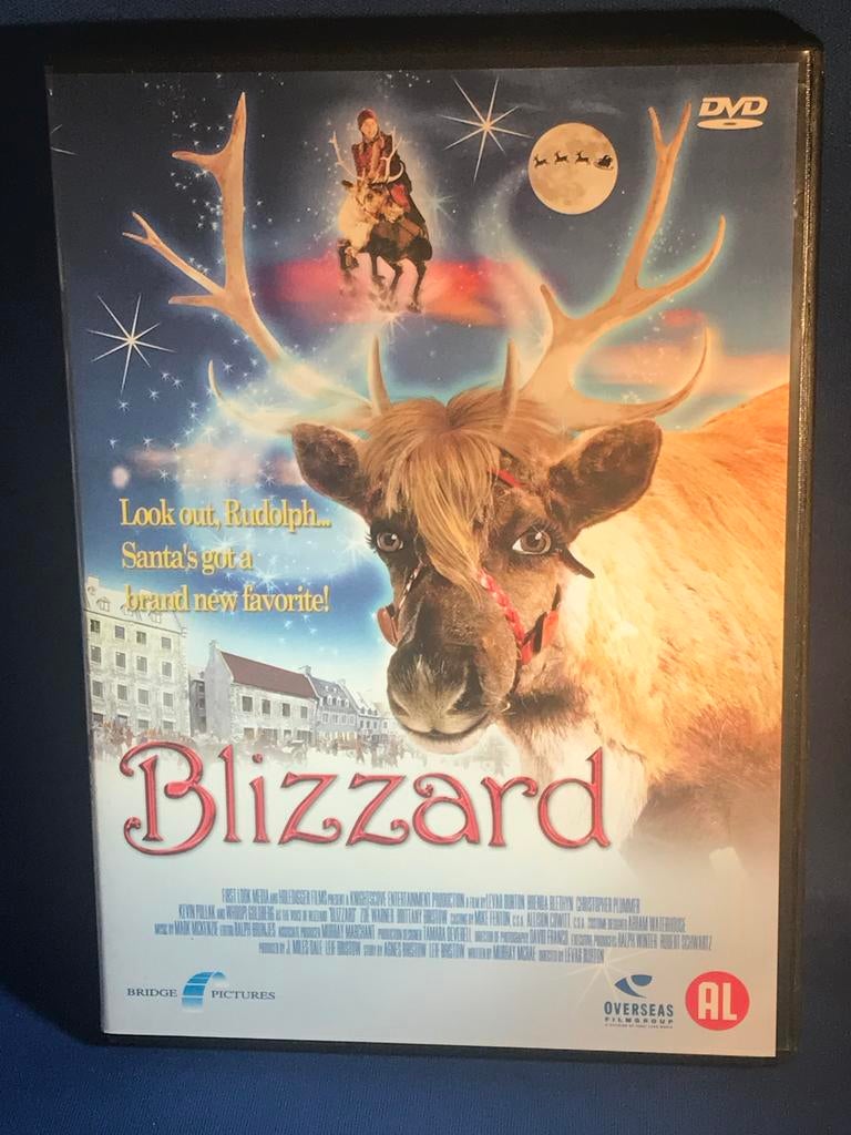 Blizzard DVD - Een magisch kerstverhaal met Whoopi Goldberg, Cd's en Dvd's, Dvd's | Kinderen en Jeugd, Gebruikt, Film, Avontuur