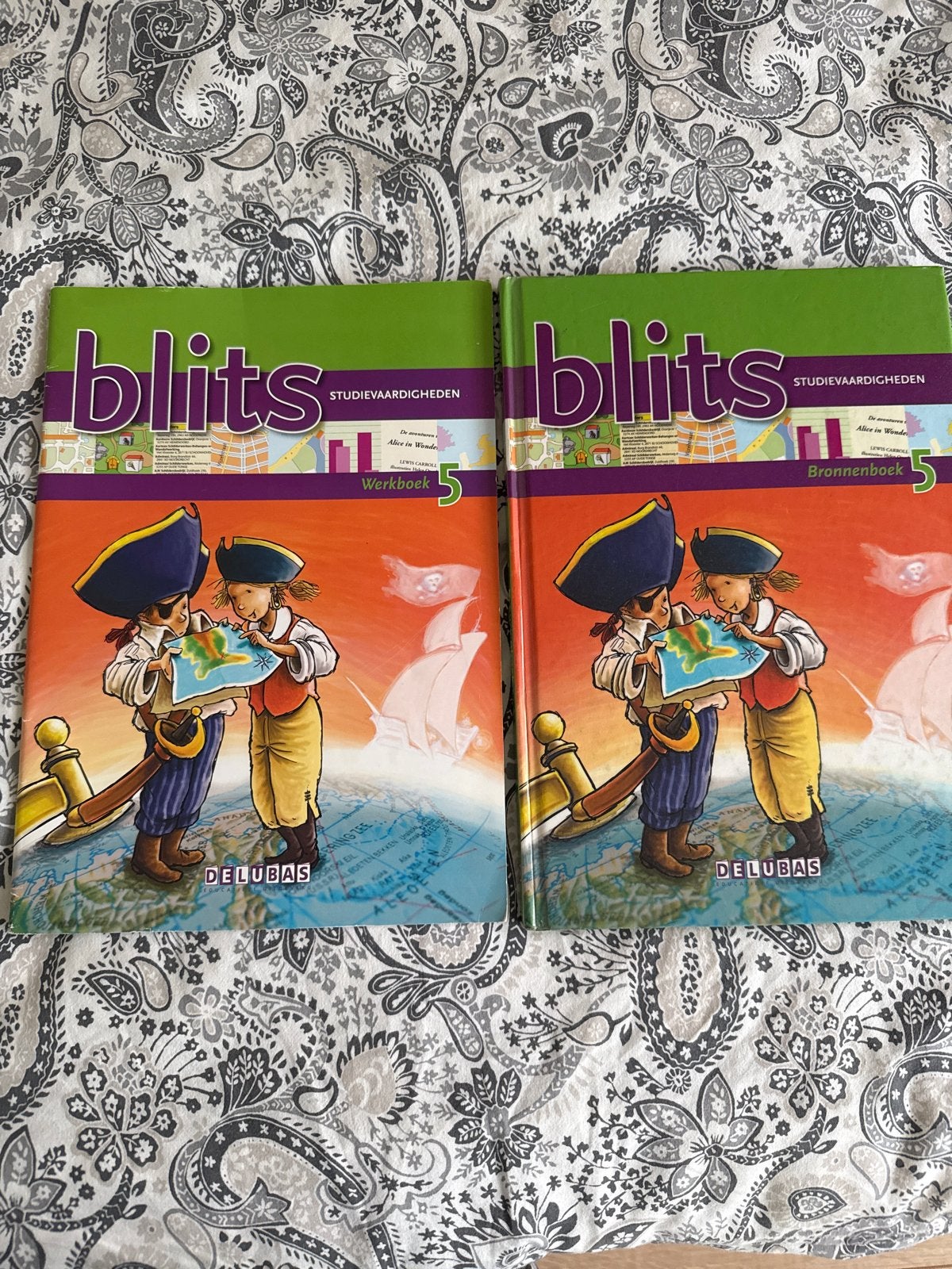 Blits Studievaardigheden Werkboek & Bronnenboek Groep 5, Ophalen of Verzenden, Gelezen