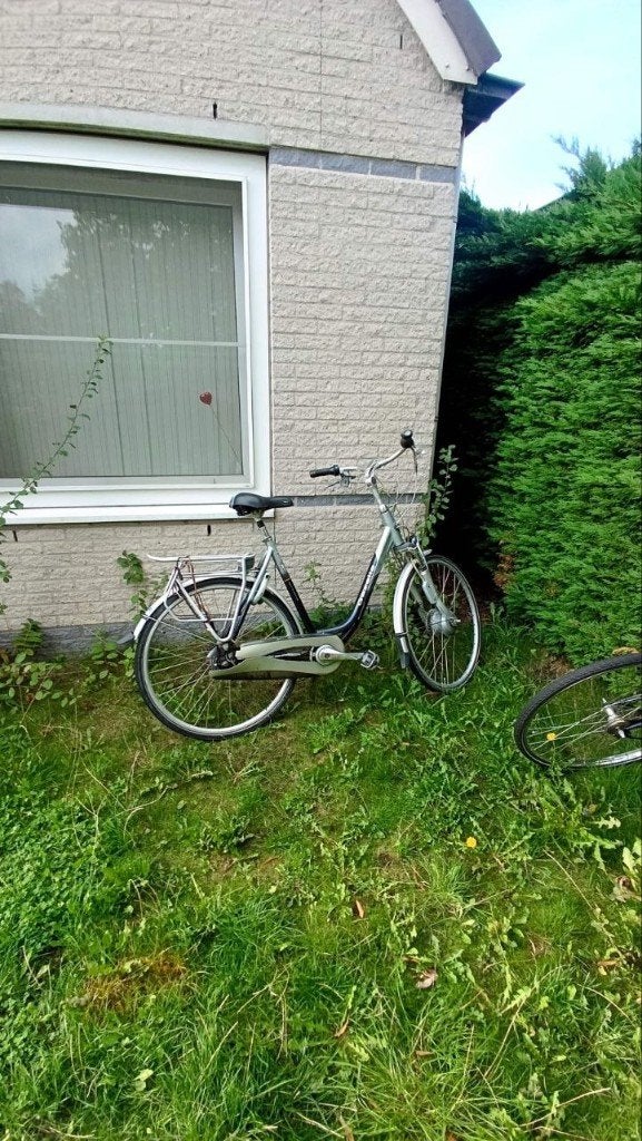 elektrische fiets, Ophalen, Gebruikt, Overige merken
