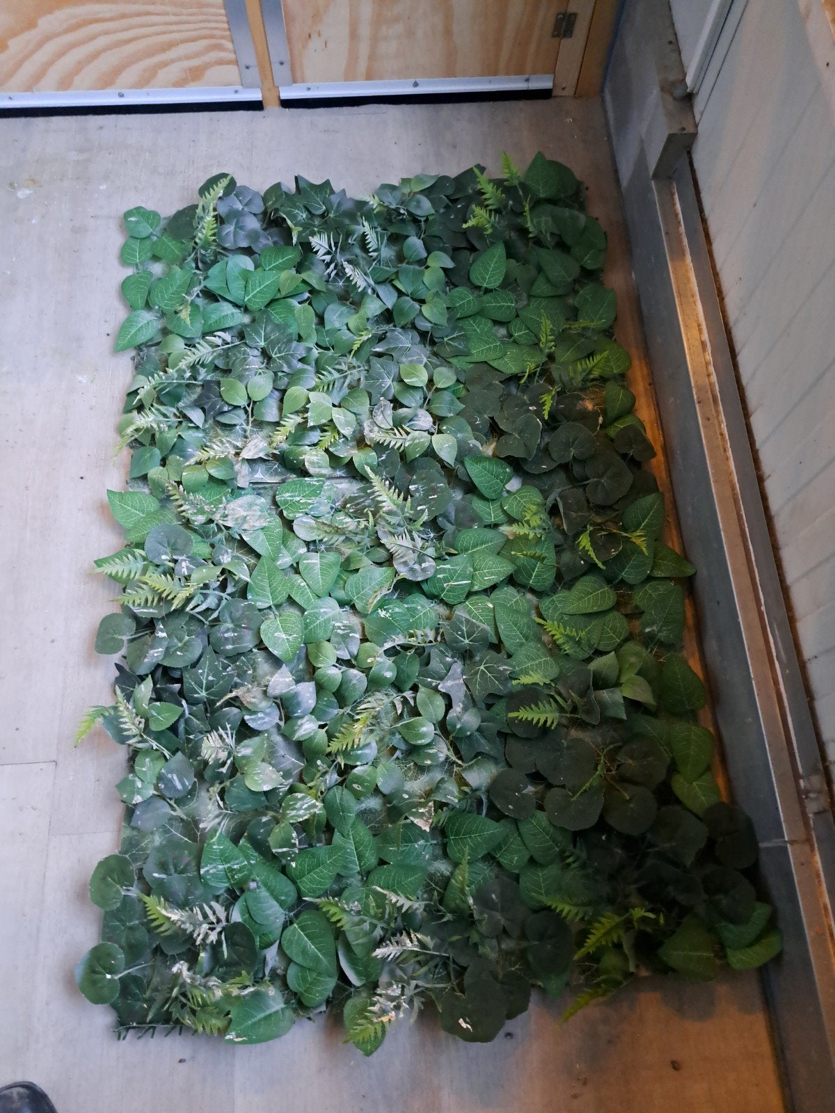 Groene achterwand van blad, Ophalen, Kooi-accessoires