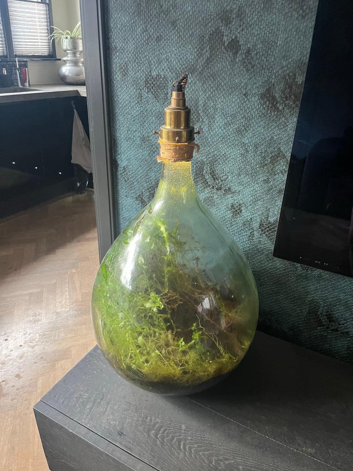 Ecosysteem in Glazen Fles, Ophalen