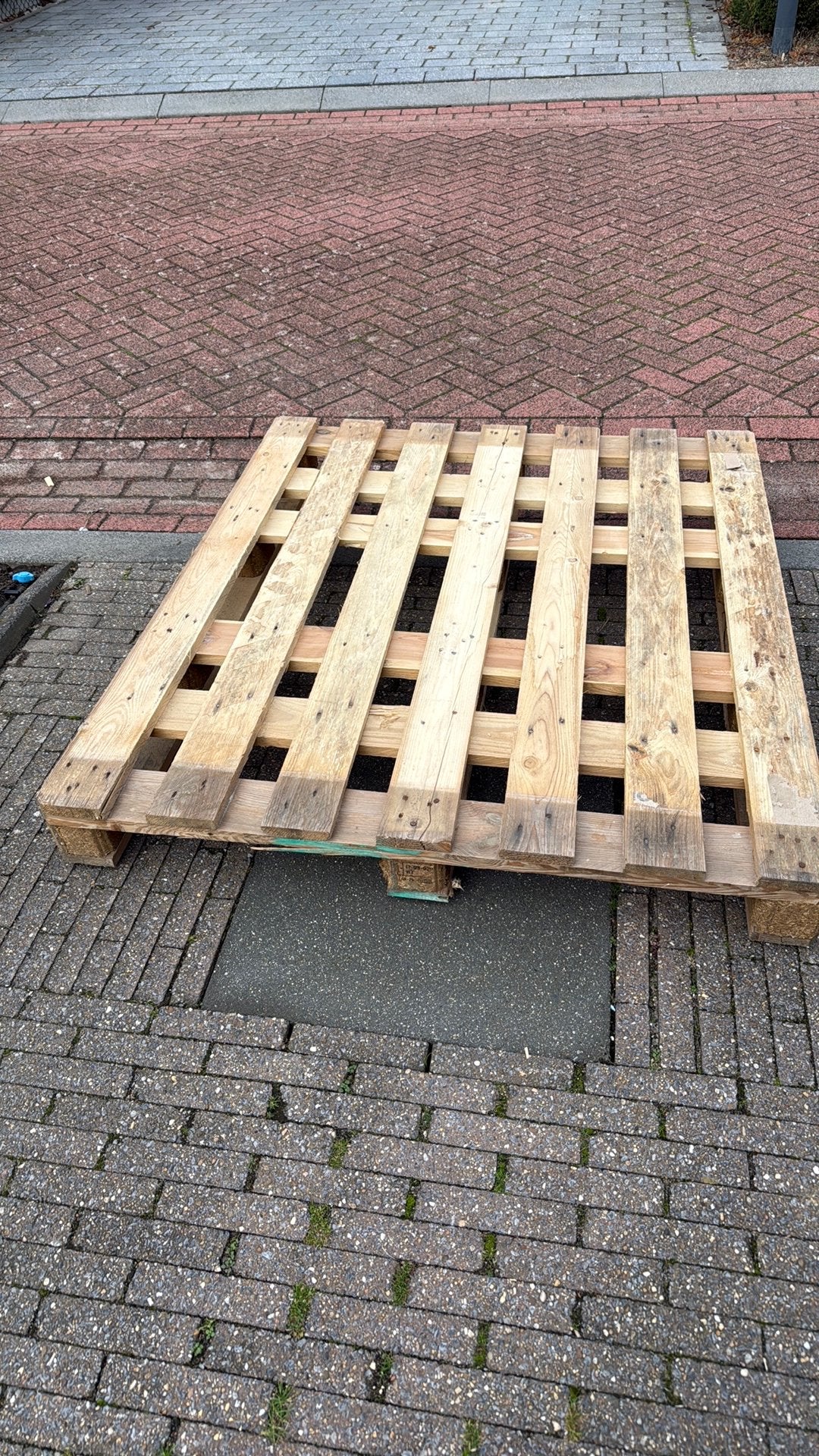 Nog 1 over! Gebruikte Pallets - Diverse Maten en Houtsoorten, Ophalen, Gebruikt, 25 tot 50 mm, 200 tot 250 cm