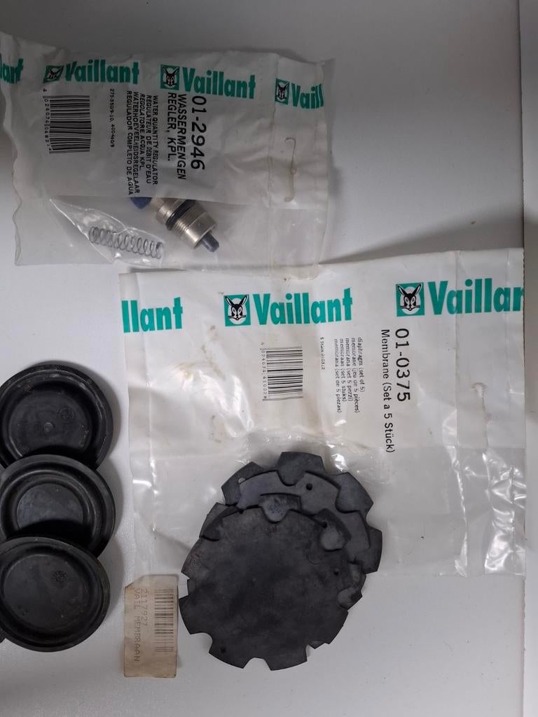 Vaillant membraam 01-0375 en 2117927, Ophalen of Verzenden